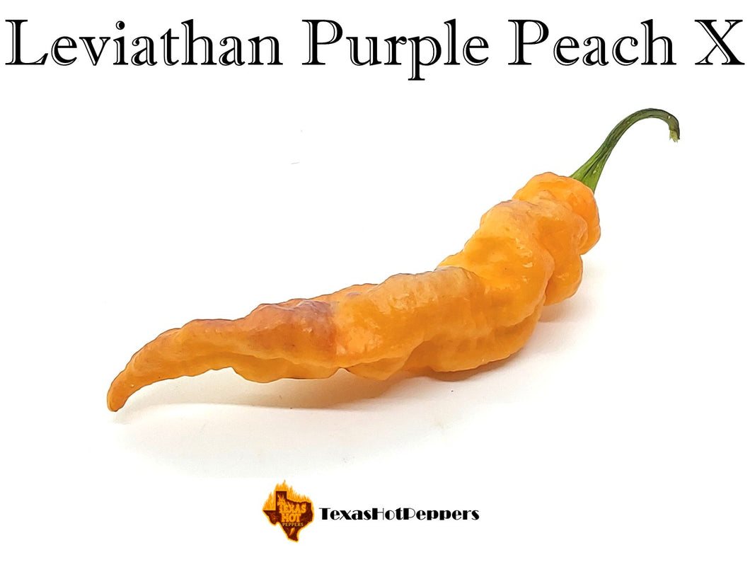 Leviathan Purple Peach X