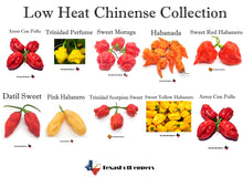 Load image into Gallery viewer, Low Heat Chinense Pepper Seed Collection - 10 Different Varieties