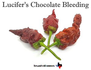 Lucifer's Chocolate Bleeding