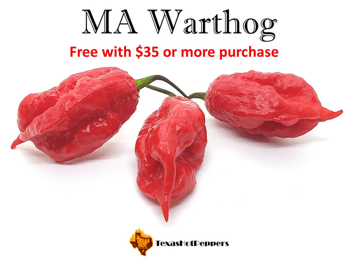 MA Warthog