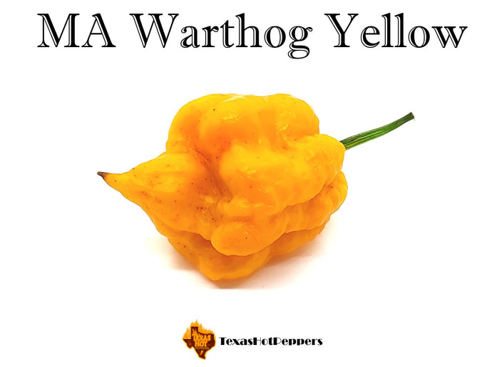 MA Warthog Yellow