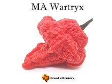 Load image into Gallery viewer, MA Wartryx