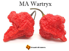 Load image into Gallery viewer, MA Wartryx