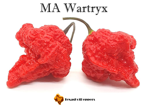 MA Wartryx
