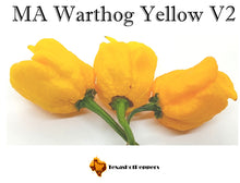 Load image into Gallery viewer, MA Warthog Yellow V2
