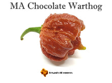 Load image into Gallery viewer, MA Chocolate Warthog