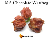 Load image into Gallery viewer, MA Chocolate Warthog