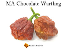 Load image into Gallery viewer, MA Chocolate Warthog