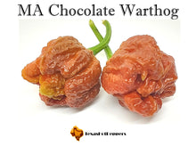 Load image into Gallery viewer, MA Chocolate Warthog