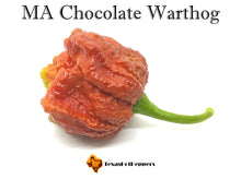 Load image into Gallery viewer, MA Chocolate Warthog