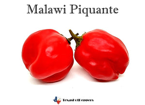 Malawi Piquante