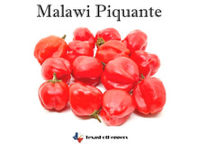 Load image into Gallery viewer, Malawi Piquante