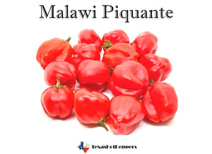 Malawi Piquante