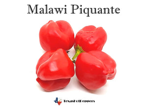 Malawi Piquante