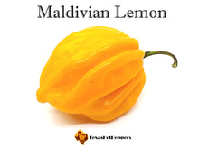 Load image into Gallery viewer, #2 Great Taste Chinense Pepper Seed Collection - 10 Different Varieties!