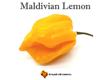 Load image into Gallery viewer, Maldivian Lemon