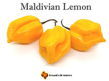 Load image into Gallery viewer, Maldivian Lemon