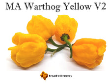 Load image into Gallery viewer, MA Warthog Yellow V2