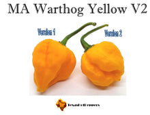 Load image into Gallery viewer, MA Warthog Yellow V2