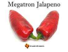 Load image into Gallery viewer, Megatron Jalapeno