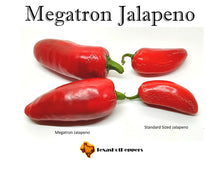 Load image into Gallery viewer, Megatron Jalapeno