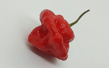 Load image into Gallery viewer, #1 Great Taste Chinense Pepper Seed Collection - 10 Different Varieties!