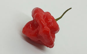 #1 Great Taste Chinense Pepper Seed Collection - 10 Different Varieties!