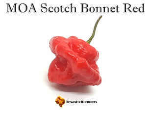 MOA Scotch Bonnet Red