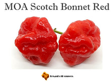 Load image into Gallery viewer, #2 Great Taste Chinense Pepper Seed Collection - 10 Different Varieties!