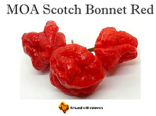 Load image into Gallery viewer, MOA Scotch Bonnet Red