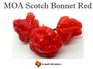 MOA Scotch Bonnet Red
