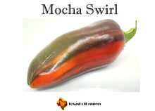 Load image into Gallery viewer, Mocha Swirl