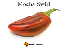 Load image into Gallery viewer, Mocha Swirl