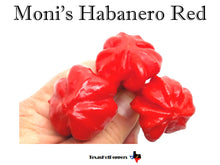 Load image into Gallery viewer, Moni&#39;s Habanero Red