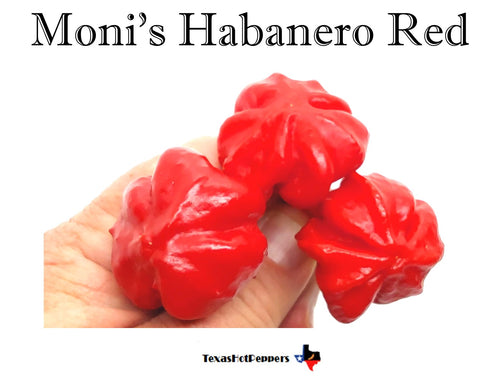 Moni's Habanero Red