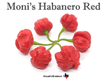 Load image into Gallery viewer, Moni&#39;s Habanero Red