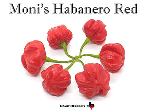 Moni's Habanero Red