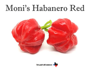 Moni's Habanero Red