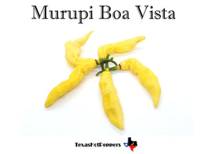 Murupi Boa Vista