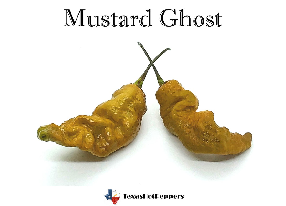 Mustard Ghost – Texas Hot Peppers