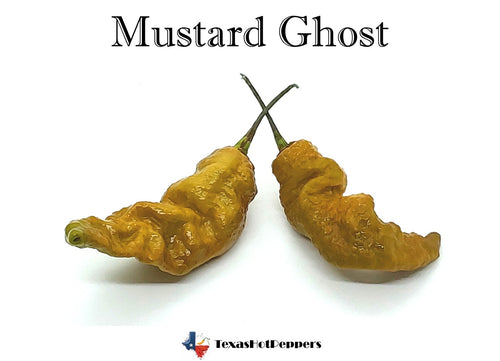 Mustard Ghost