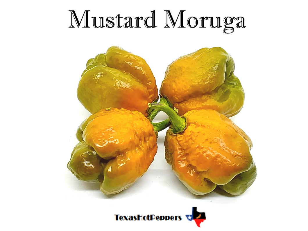 Mustard Moruga