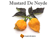 Load image into Gallery viewer, Mustard De Neyde