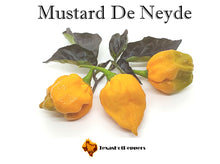 Load image into Gallery viewer, Mustard De Neyde