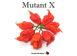 Mutant X