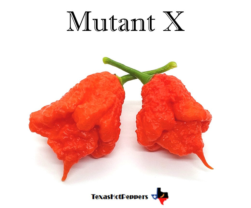 Mutant X – Texas Hot Peppers
