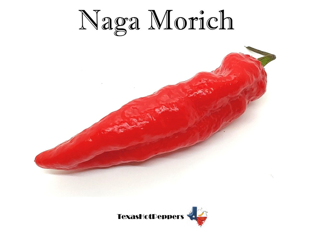 Naga Morich