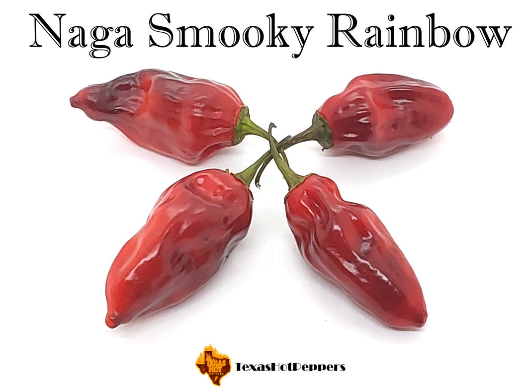 Naga Smooky Rainbow