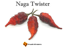 Load image into Gallery viewer, Naga Twister