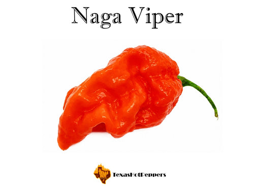 2026 Seed Varieties – Page 5 – Texas Hot Peppers